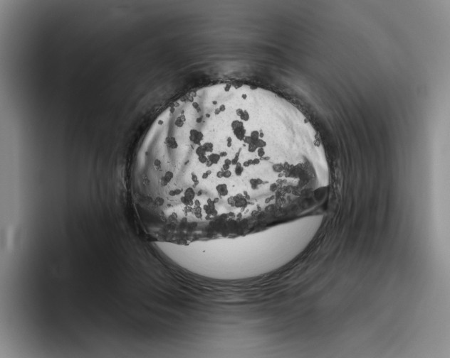 X0000096410506200802211228