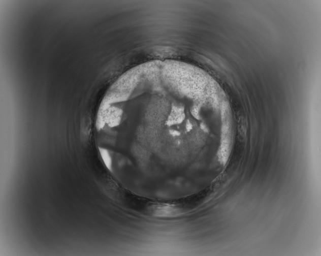 X0000096410507200802211228