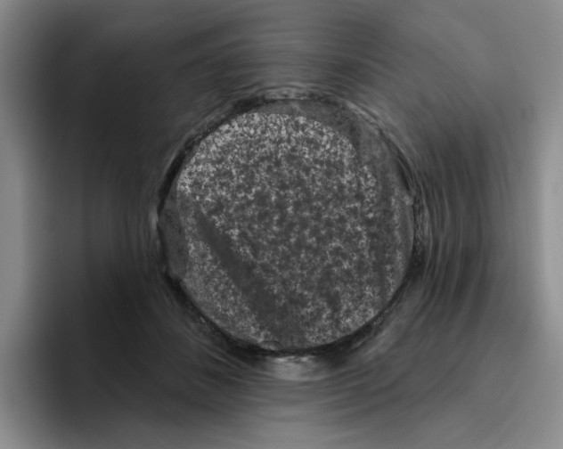 X0000096410508200802211228