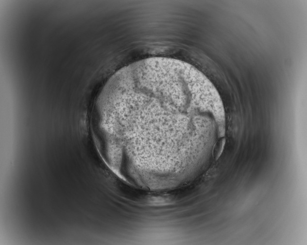 X0000096410510200802211228