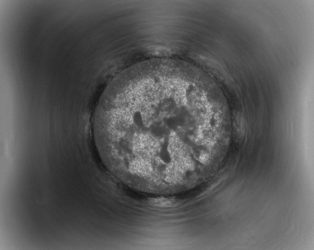 X0000096410511200802211228