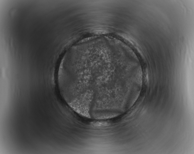 X0000096410512200802211228