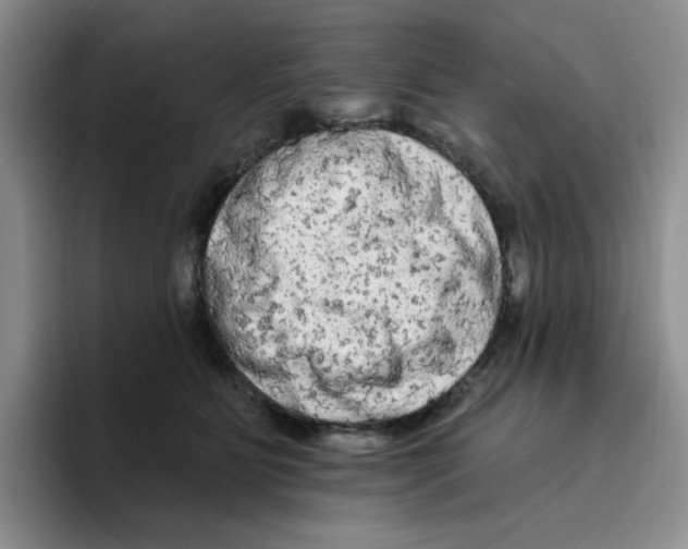 X0000096410515200802211228
