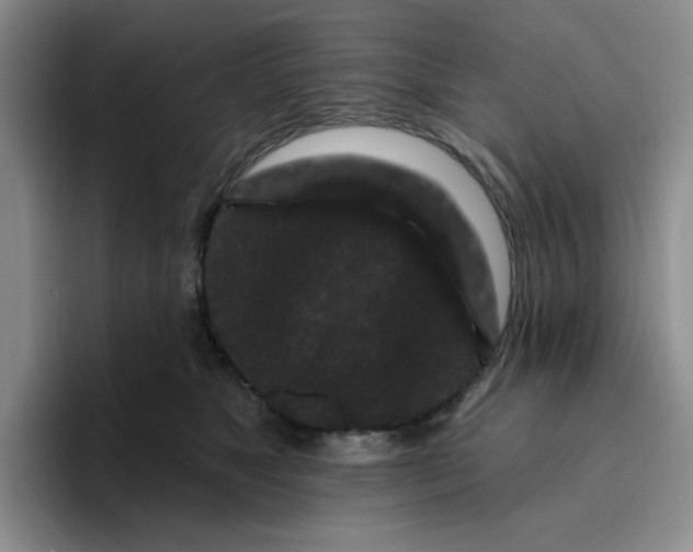 X0000096410517200802211228