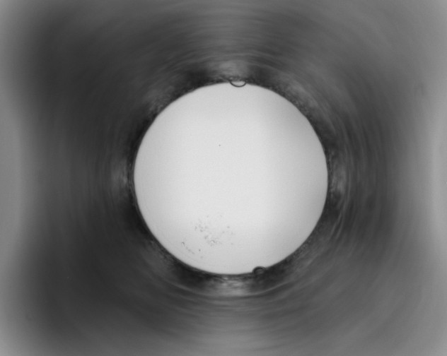 X0000096410518200802211228