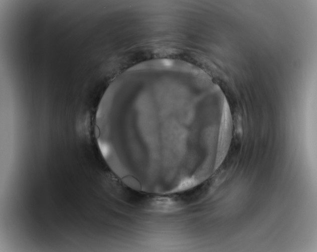X0000096410519200802211228