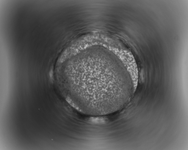 X0000096410520200802211228