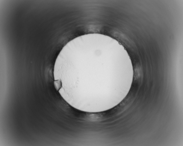 X0000096410522200802211228