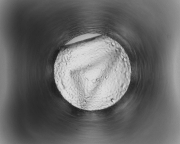 X0000096410523200802211228