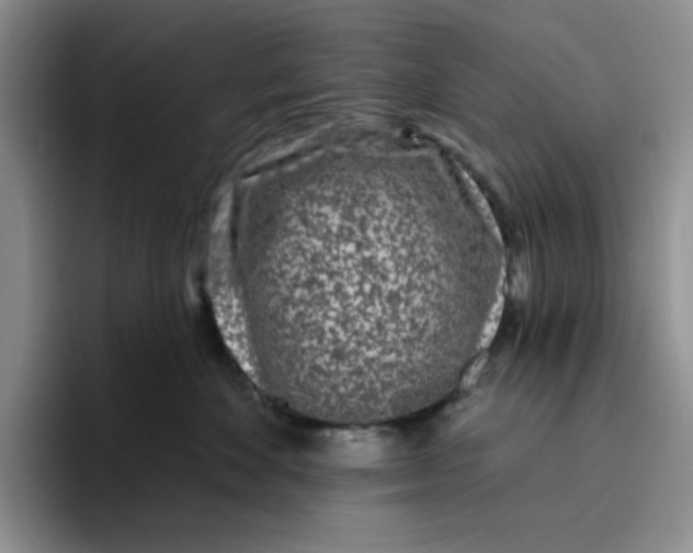 X0000096410524200802211228