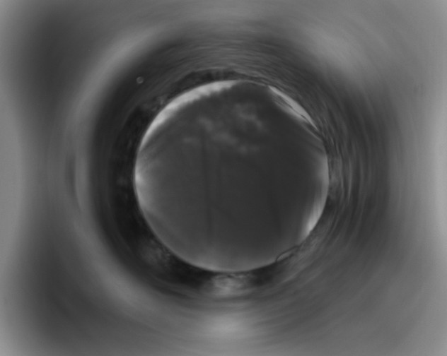 X0000096410526200802211228
