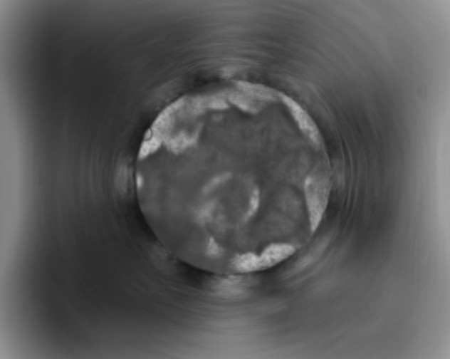 X0000096410527200802211228