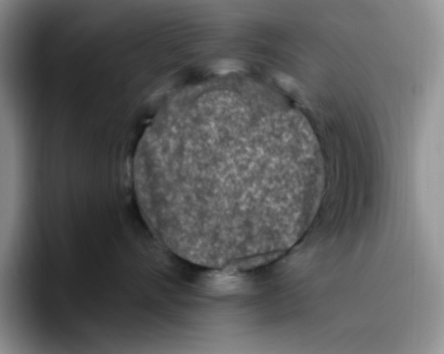 X0000096410528200802211228