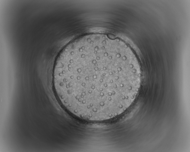 X0000096410529200802211227