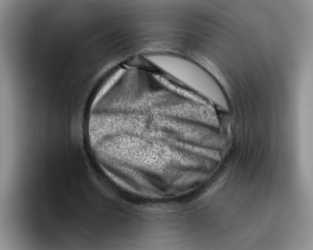 X0000096410530200802211227