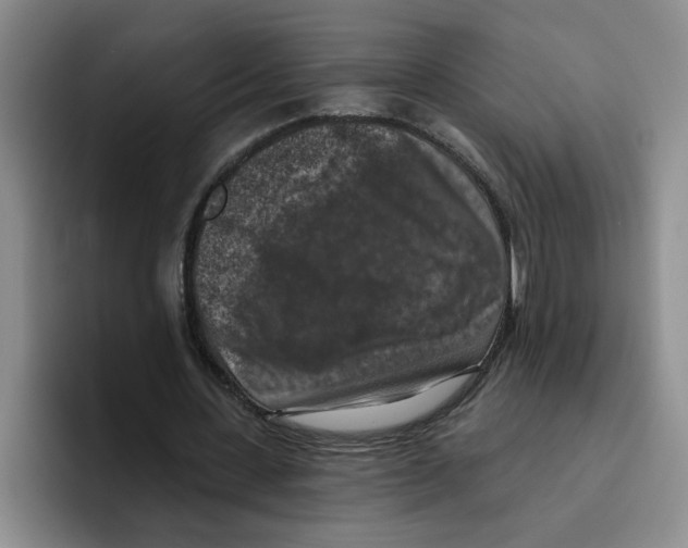 X0000096410531200802211227