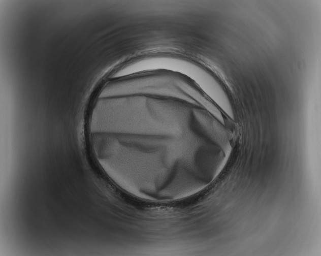 X0000096410535200802211227