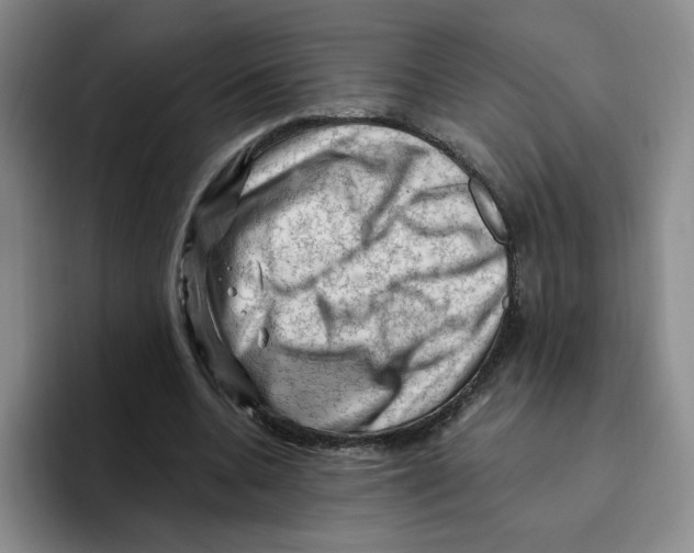 X0000096410536200802211227