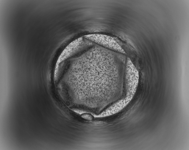 X0000096410539200802211227