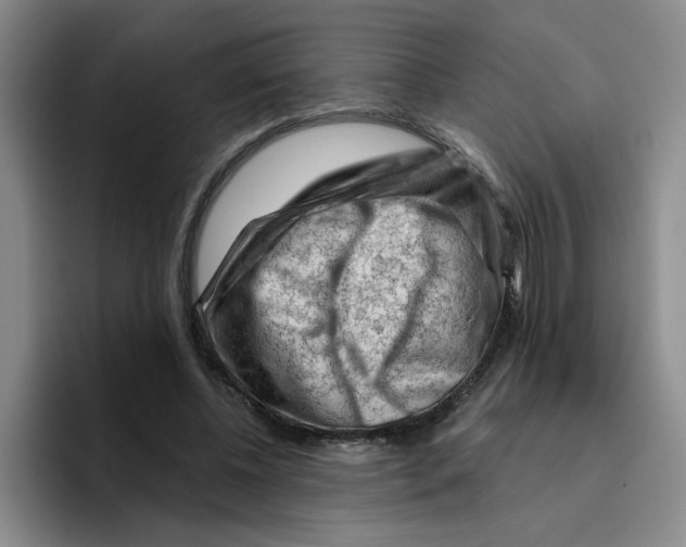 X0000096410540200802211227