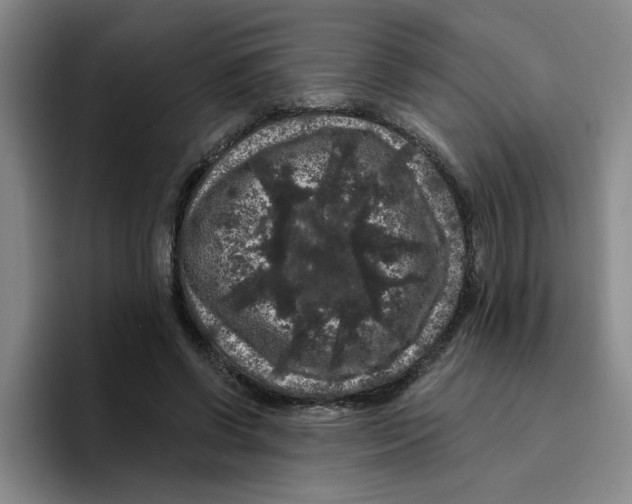 X0000096410542200802211227