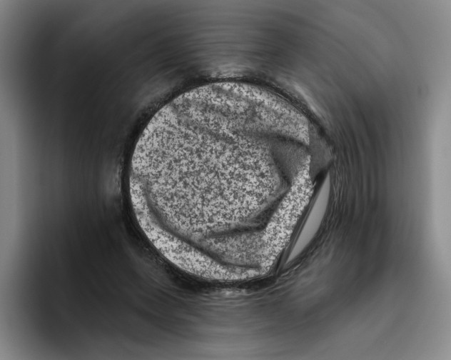 X0000096410543200802211227