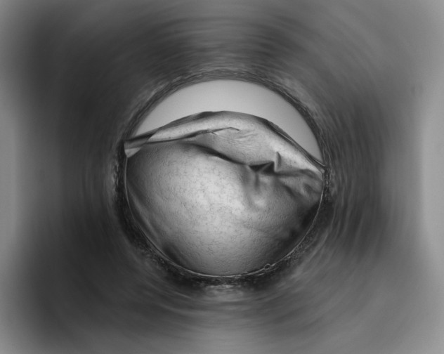 X0000096410544200802211227