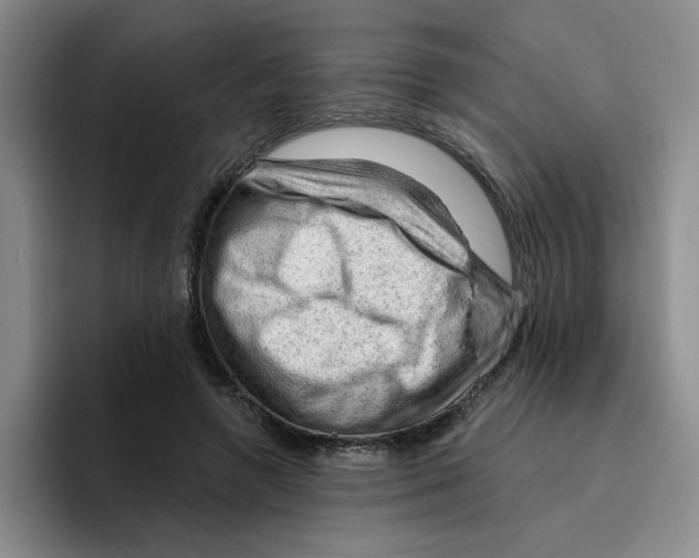 X0000096410546200802211227