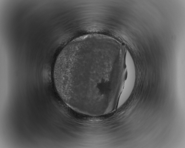 X0000096410547200802211227
