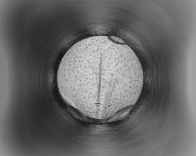 X0000096410548200802211227