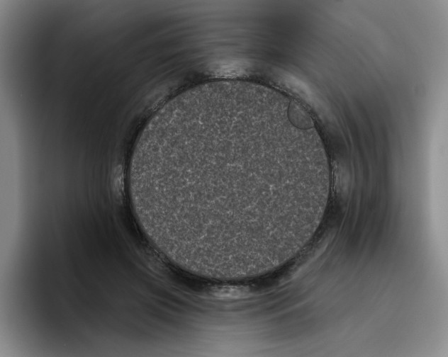 X0000096410549200802211227