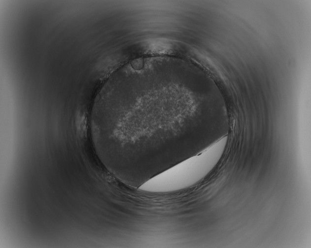 X0000096410551200802211227