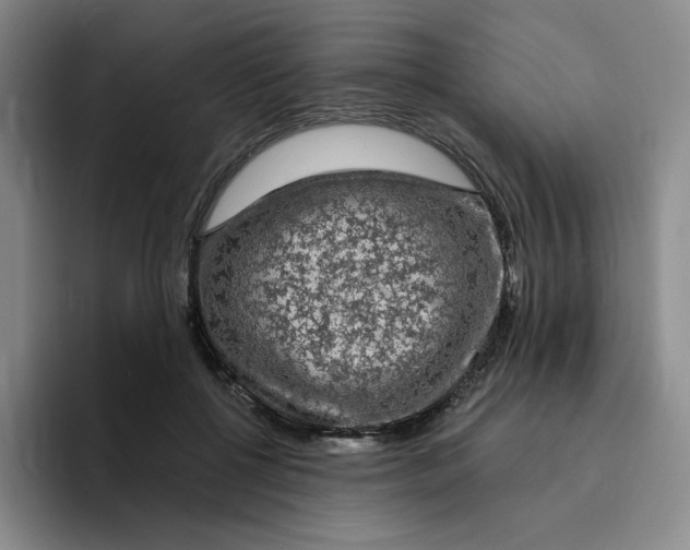 X0000096410552200802211227
