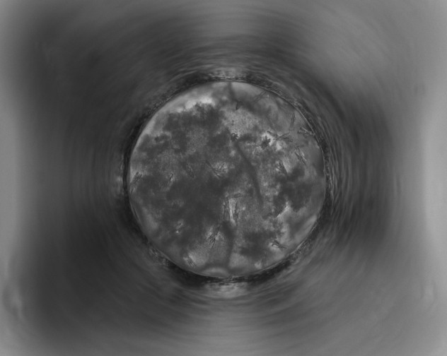 X0000096410553200802211227