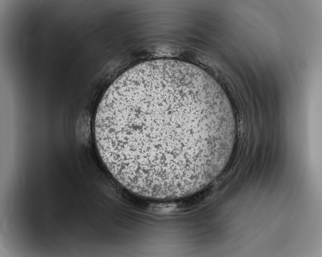 X0000096410554200802211227