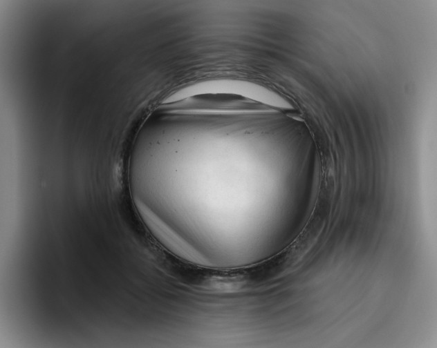 X0000096410556200802211228