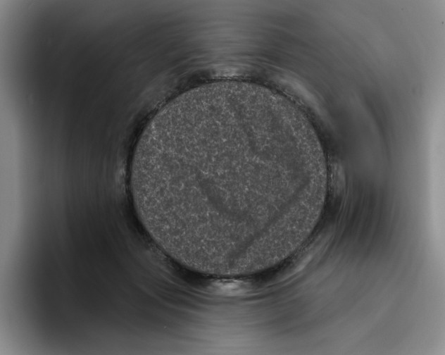 X0000096410557200802211228