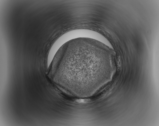 X0000096410558200802211228