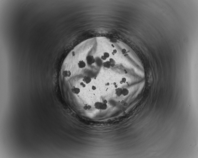 X0000096410559200802211228