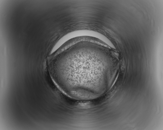 X0000096410560200802211228