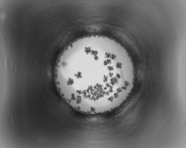 X0000096410561200802211228