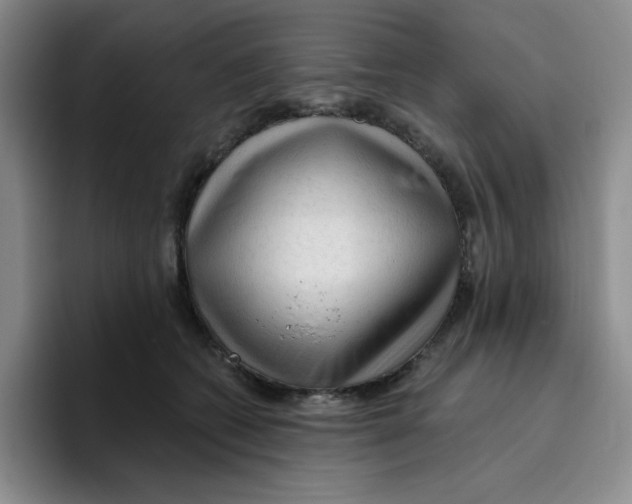 X0000096410562200802211228
