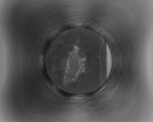 X0000096410563200802211228