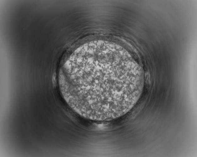 X0000096410564200802211228