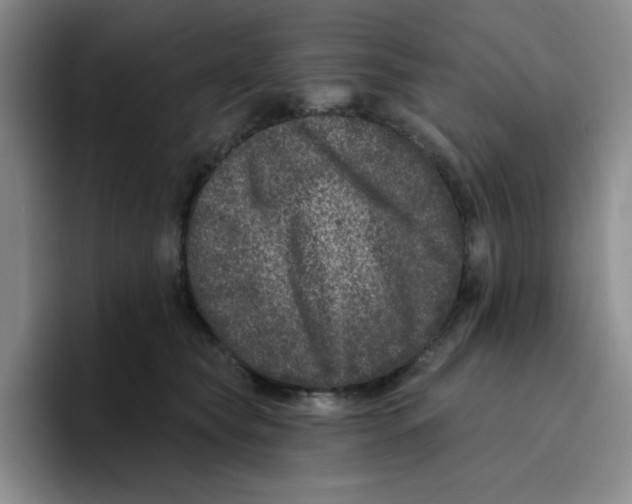 X0000096410565200802211228