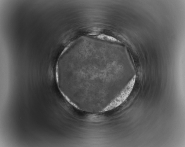 X0000096410568200802211228