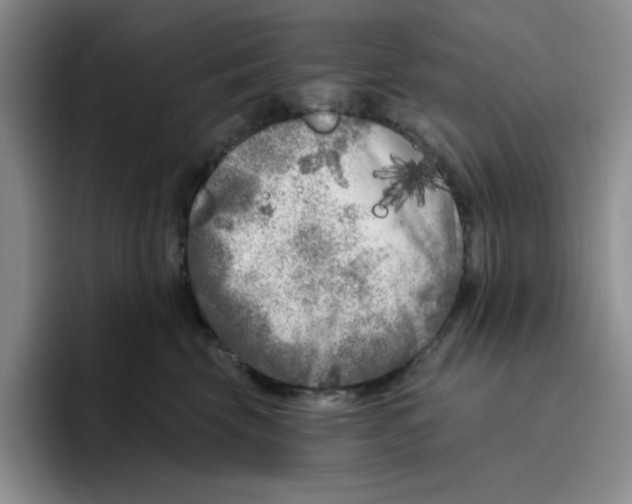 X0000096410569200802211228