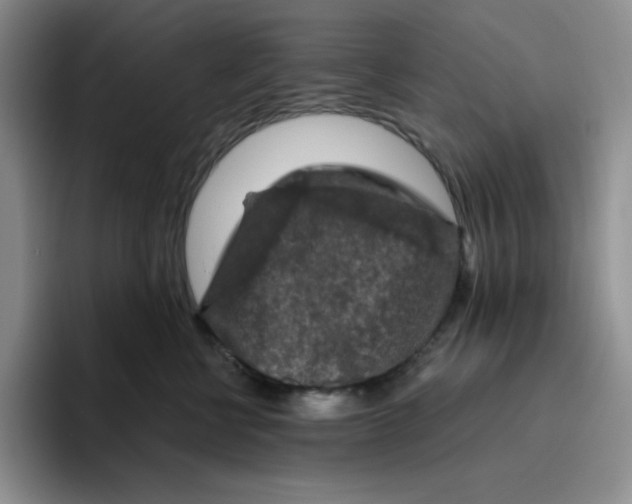 X0000096410570200802211228