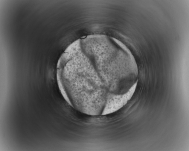 X0000096410571200802211228