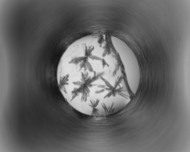 X0000096410573200802211228